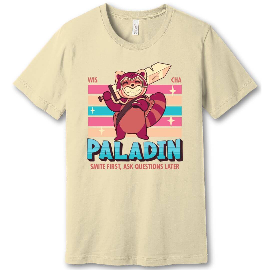 DnD Paladin Shirt - D&D Kawaii Class T-shirt