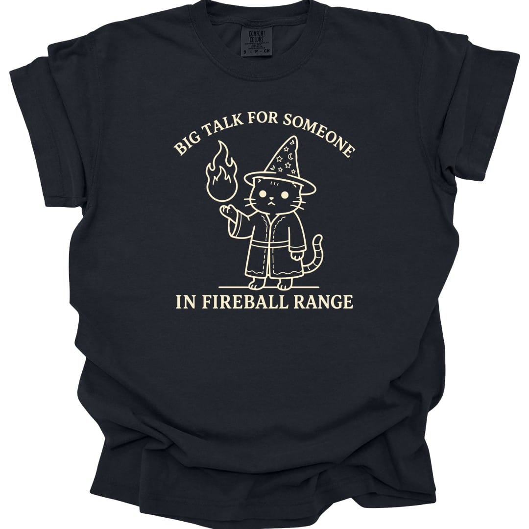 Black t-shirt. Reads "Big talk for someone" curving across the top and "In fireball range" across the bottom in cream capitals. Between them a cat stands upright in a starry pointed hat and robe, looking unimpressed, holding up a small flame in one paw.