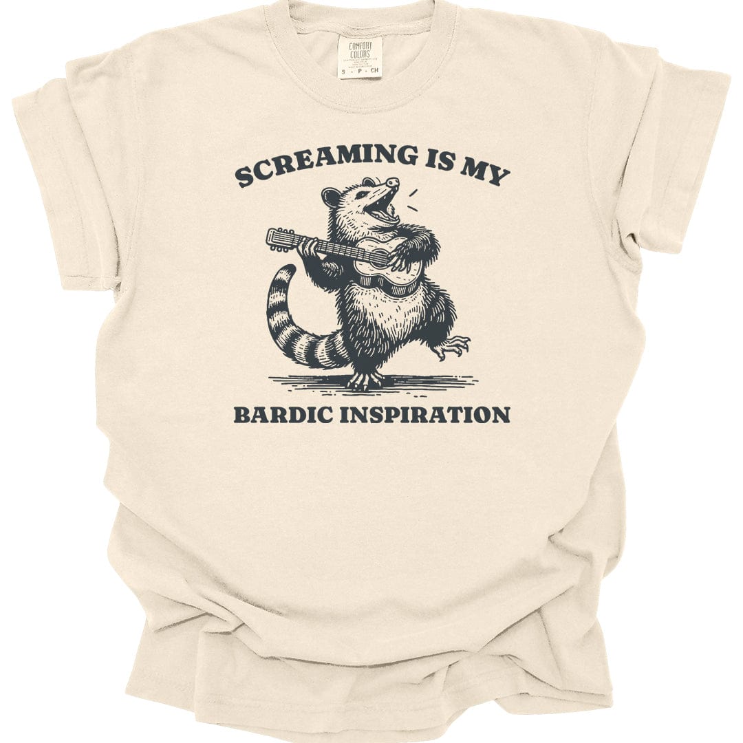 Printify T-Shirt Ivory / S Funny Bard D&D T-Shirt - Comfort Colors