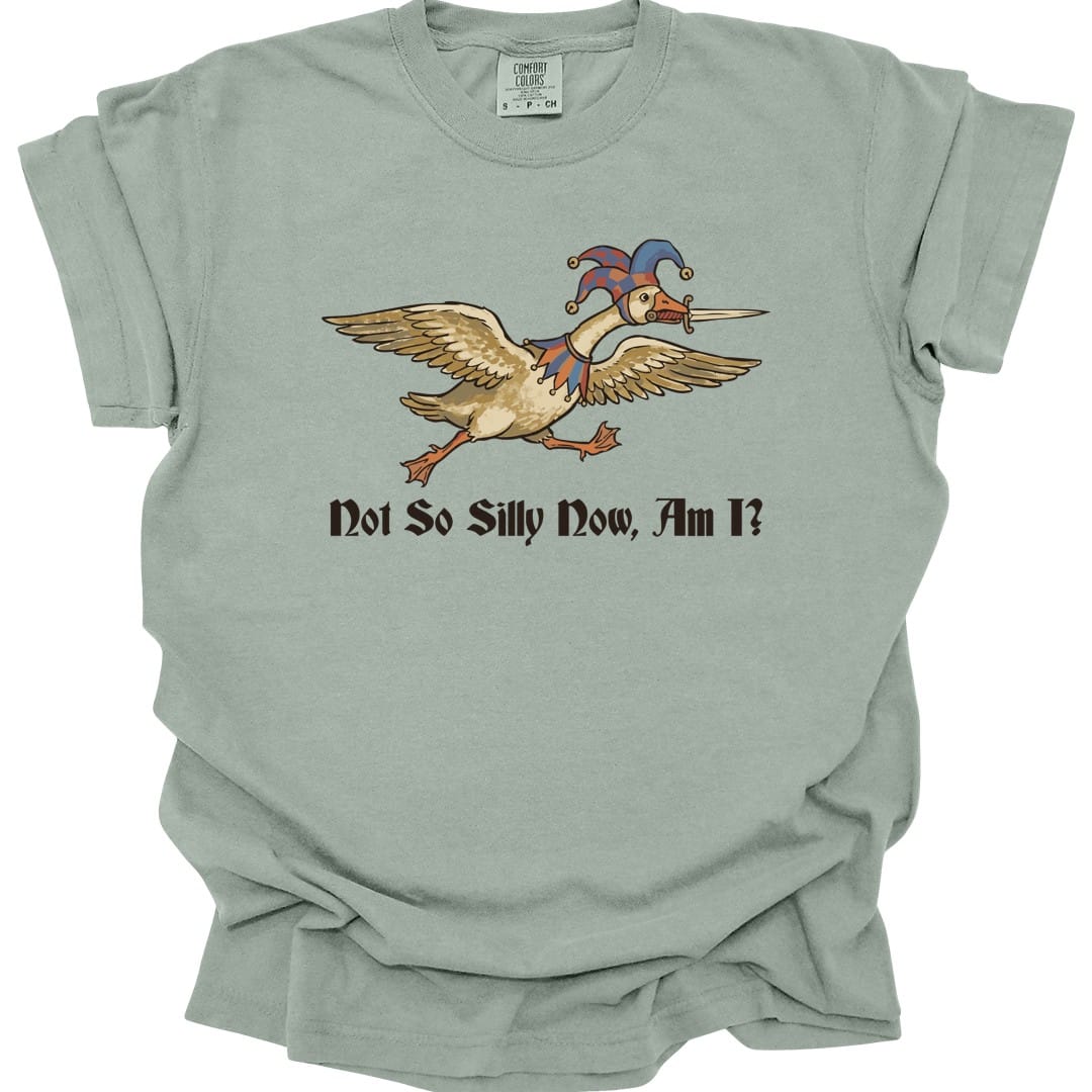 The same Not So Silly Now Am I goose design, on a bay t-shirt.