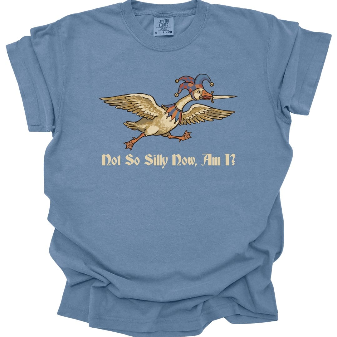 The same Not So Silly Now Am I goose design, on a blue jean t-shirt.