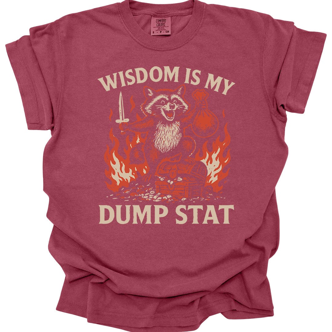 Printify T-Shirt Chili / S Wisdom Is My Dump Stat D&D T-Shirt - Comfort Colors